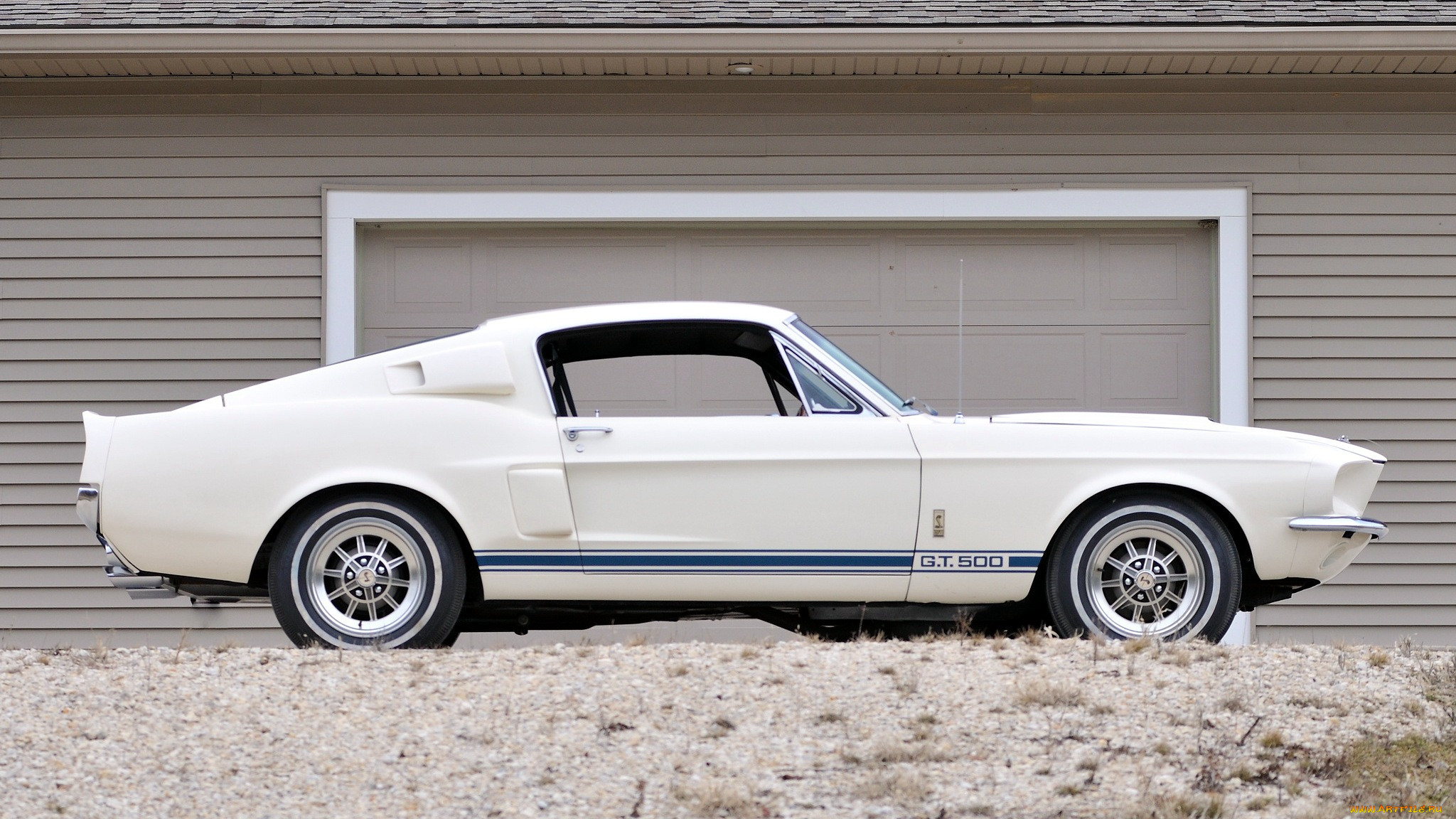 mustang, , , ford, motor, company